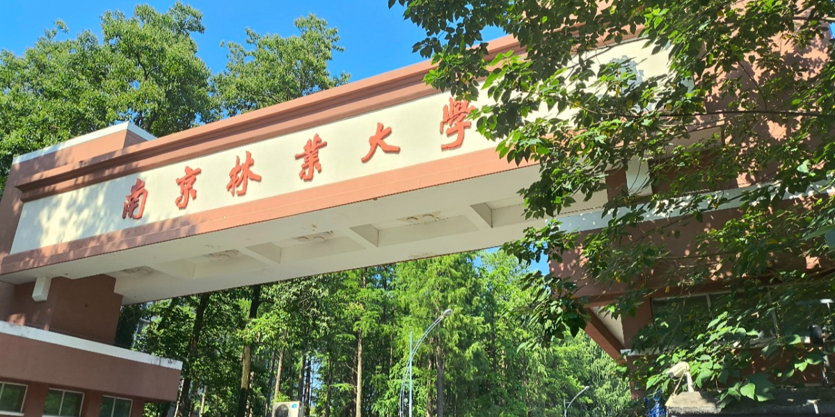 南京林业大学宿舍用电安全管理改造项目